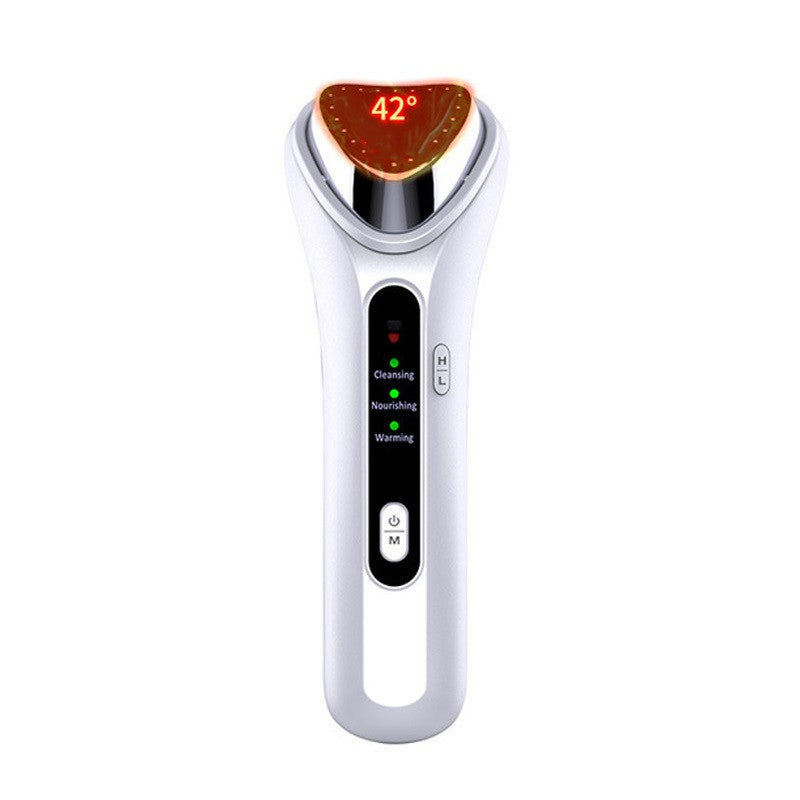 Home facial beauty instrument